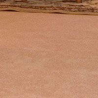 Clean Carpets