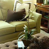 Lime green suite